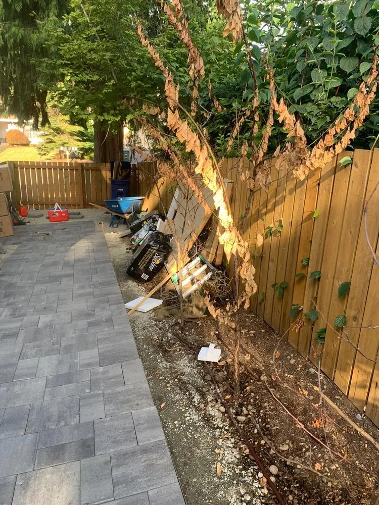 Local yard cleanup service experts serving Lynnwood, WA - TSADEQ