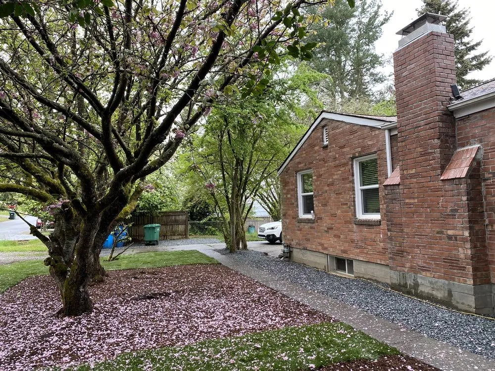 Local lawn care service for outdoor upgrades in Lynnwood, WA by TSADEQ