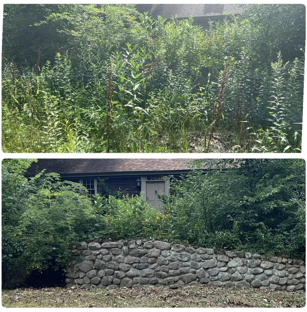 Affordable garden landscaping in Dedham, MA by Tsafaridis Landscape & Construction