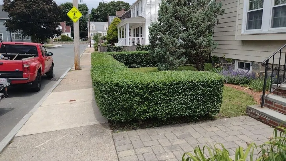 Trusted yard cleanup service experts serving Dedham, MA - Tsafaridis Landscape & Construction