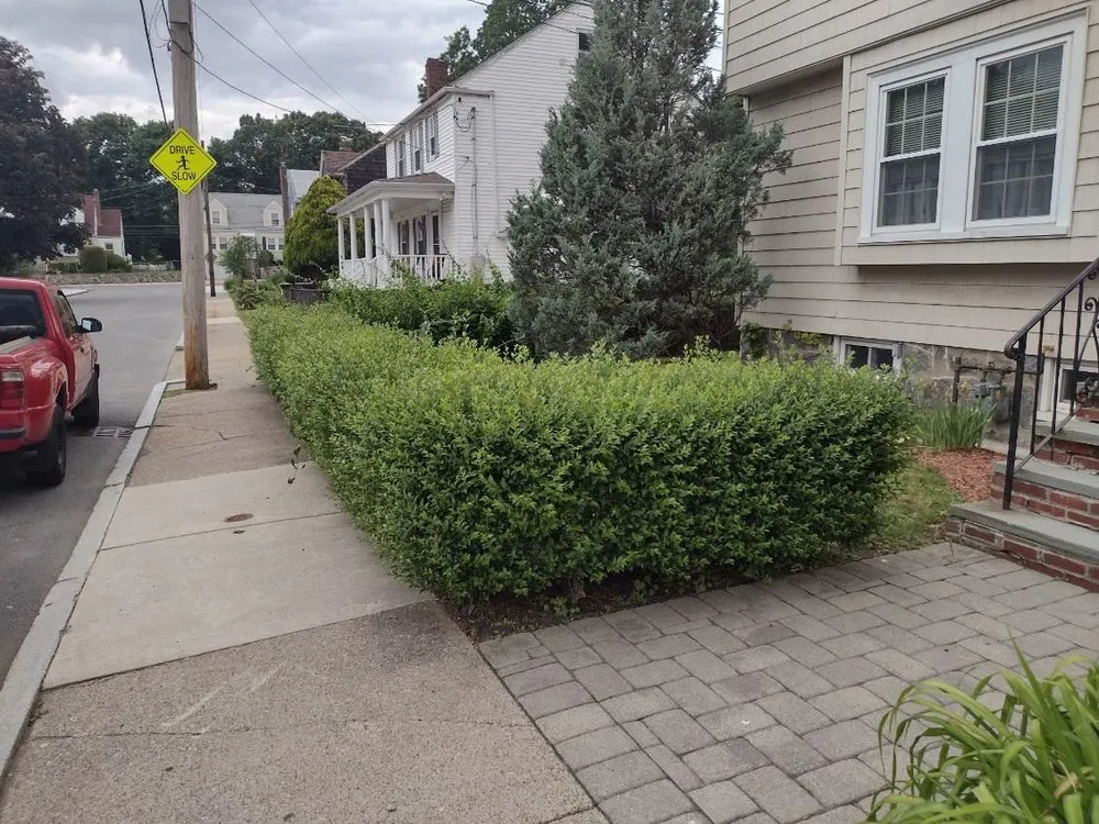 Local yard cleanup service experts serving Dedham, MA - Tsafaridis Landscape & Construction