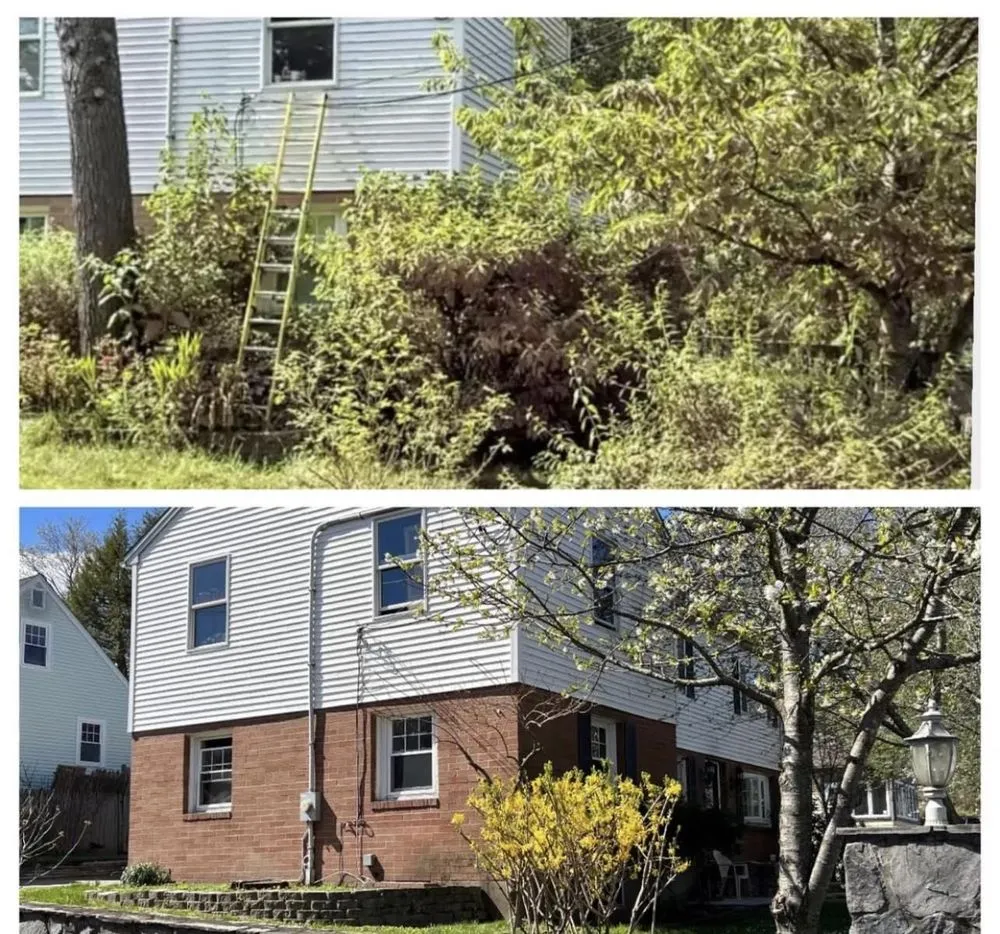 Professional outdoor landscaping with custom design in Dedham, MA by Tsafaridis Landscape & Construction