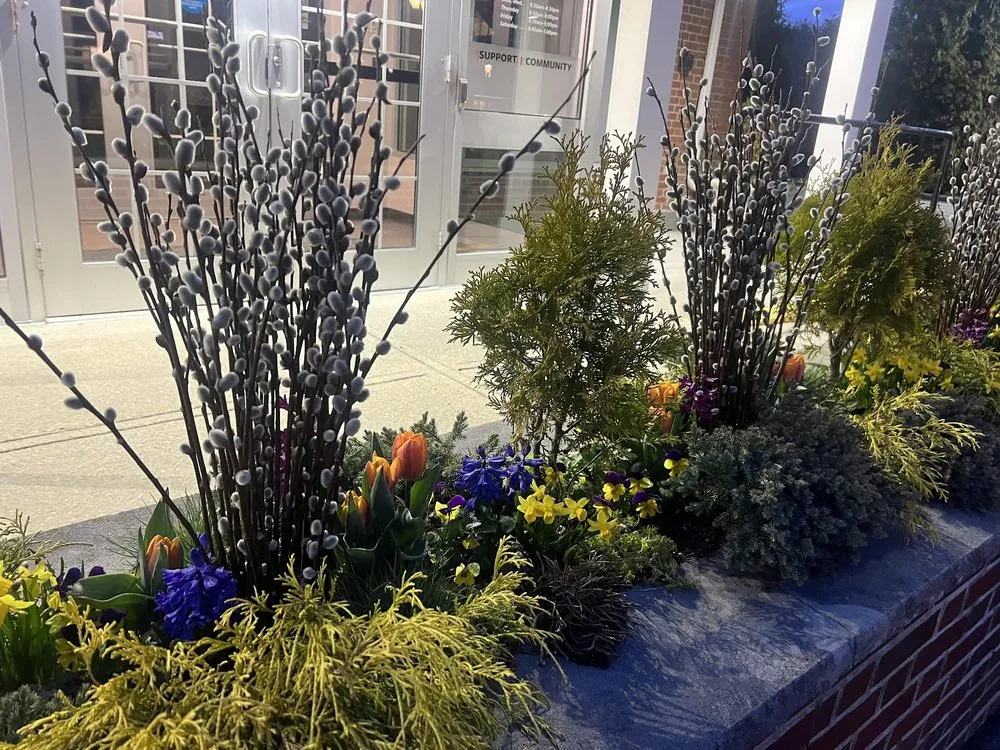 Trusted yard maintenance in Dedham, MA - Tsafaridis Landscape & Construction