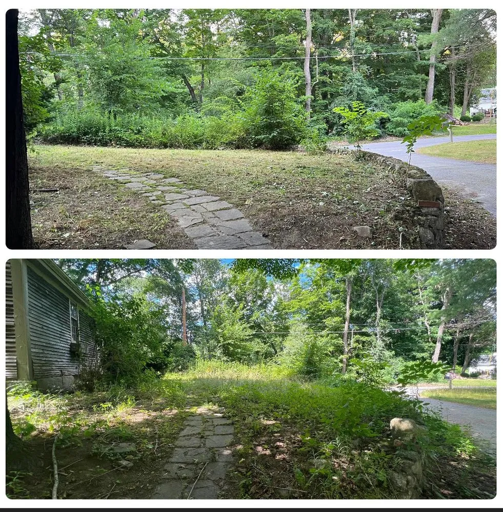 Local yard maintenance for residential properties in Dedham, MA by Tsafaridis Landscape & Construction