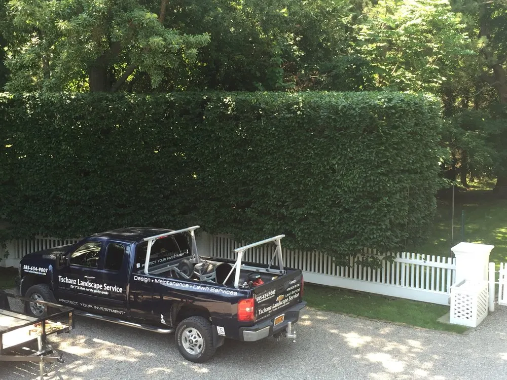 Top-rated yard maintenance experts serving Rochester, NY - Tschanz Landscape Service