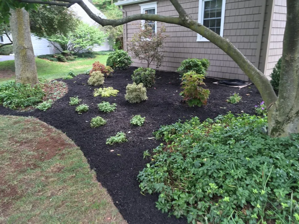 Reliable landscaping services in Rochester, NY - Tschanz Landscape Service