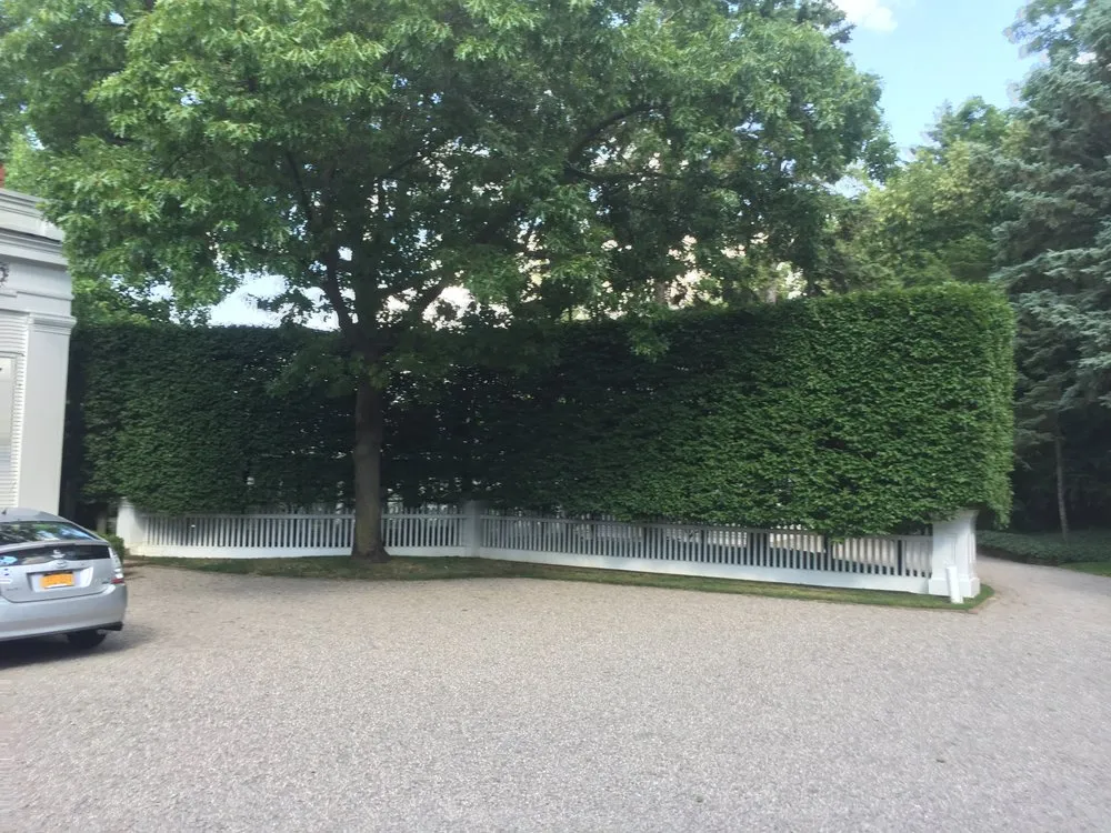 Expert residential landscaping for year-round maintenance across Rochester, NY - Tschanz Landscape Service