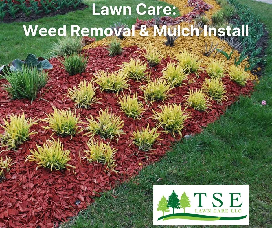 Professional yard cleanup service for outdoor upgrades across Flushing, MI - TSE Lawn Care