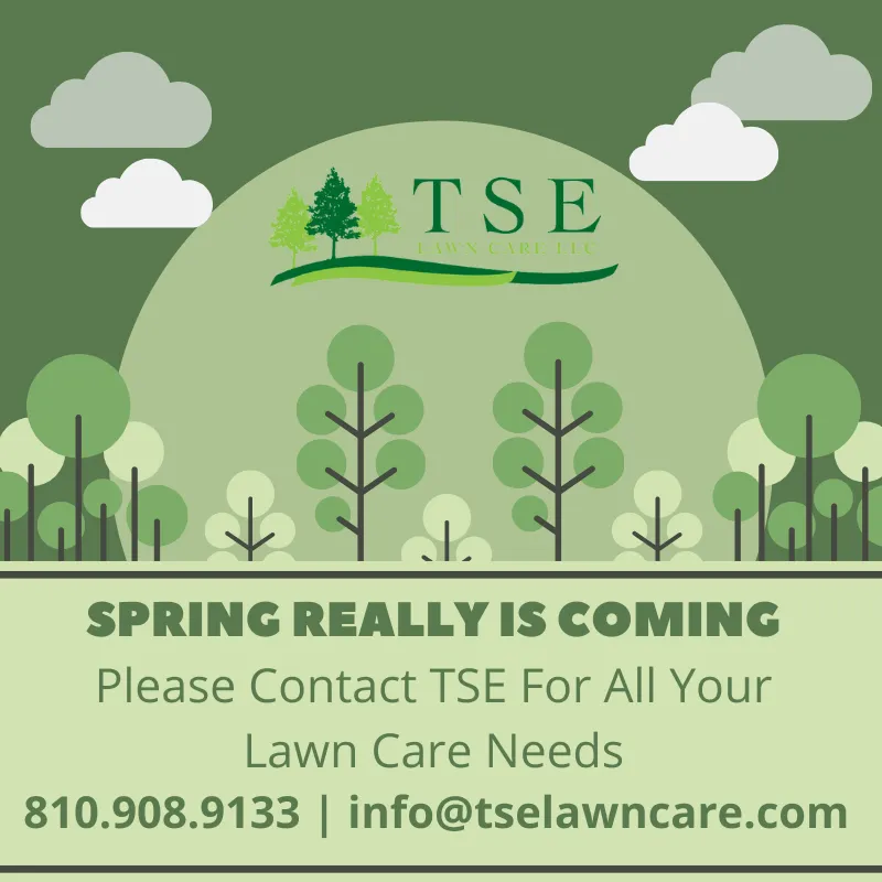 Top-rated landscaping services in Flushing, MI - TSE Lawn Care