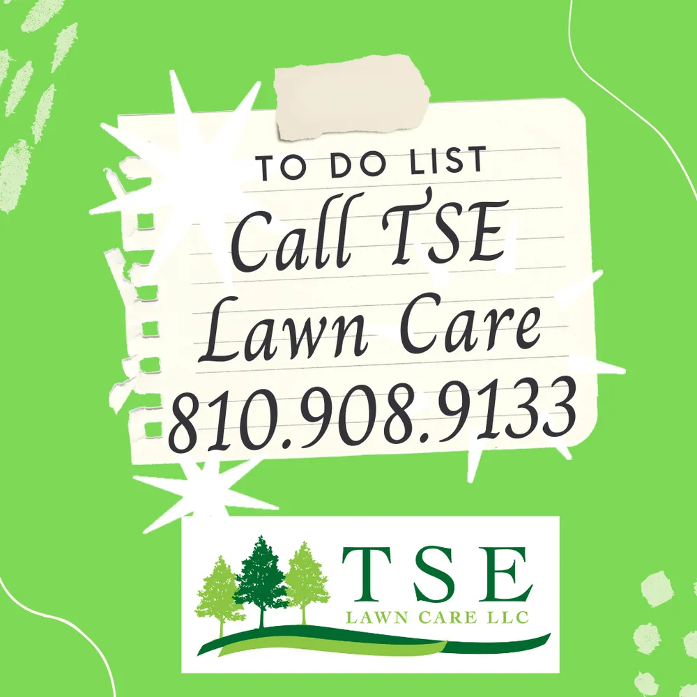 Expert lawn care service experts serving Flushing, MI - TSE Lawn Care