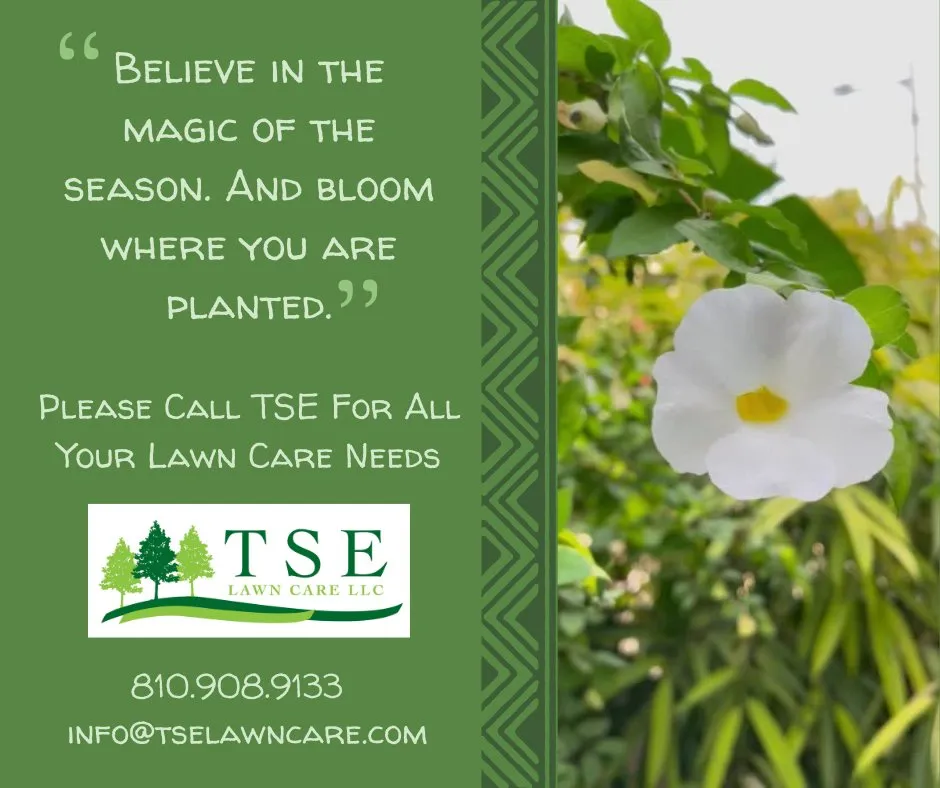 Local landscape design near you in Flushing, MI by TSE Lawn Care