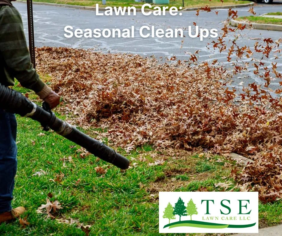 Local landscaping services in Flushing, MI - TSE Lawn Care