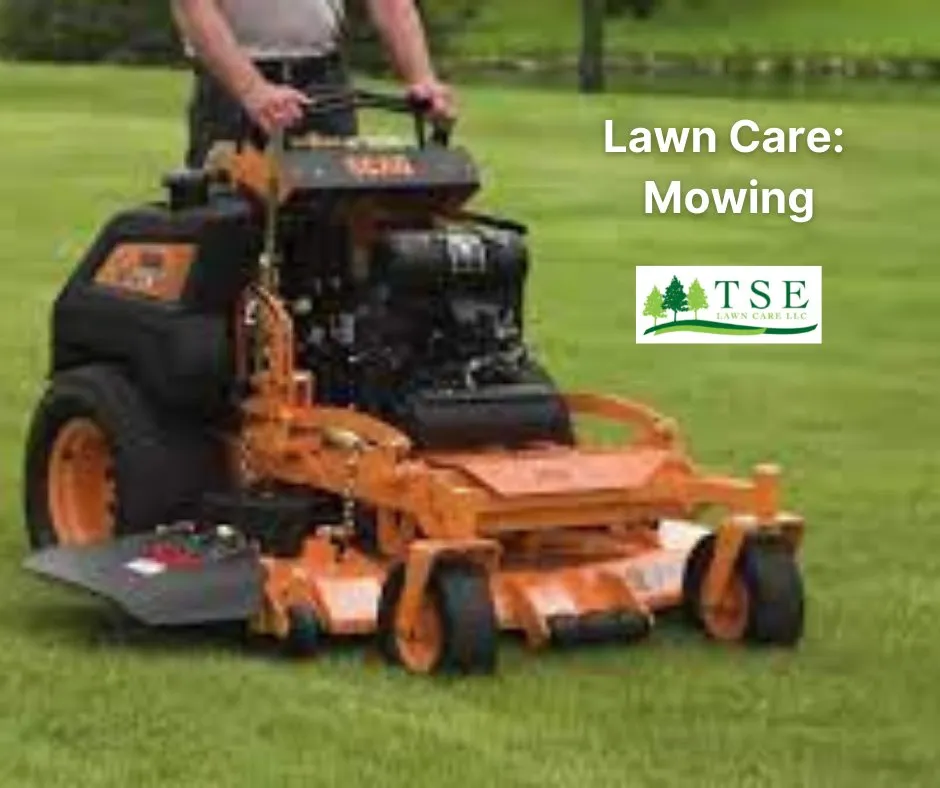 Professional residential landscaping experts serving Flushing, MI - TSE Lawn Care