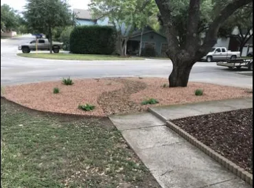 Local lawn care service for residential properties across Boerne, TX - TSE Services