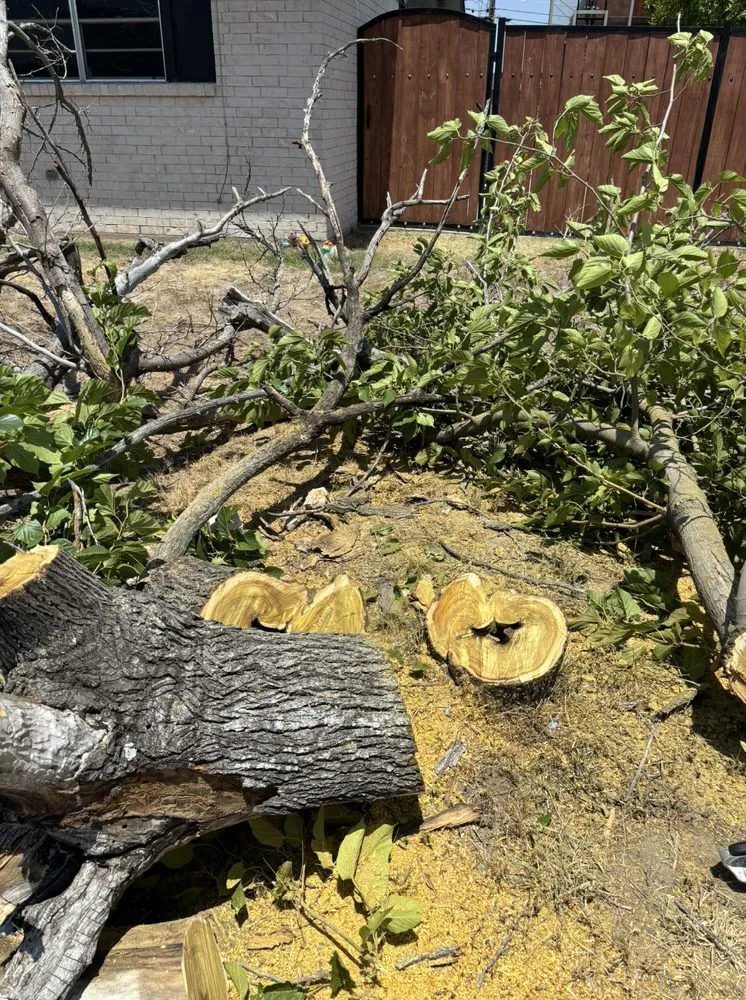 Affordable garden landscaping in San Angelo, TX by TSG Lawn & Tree Service