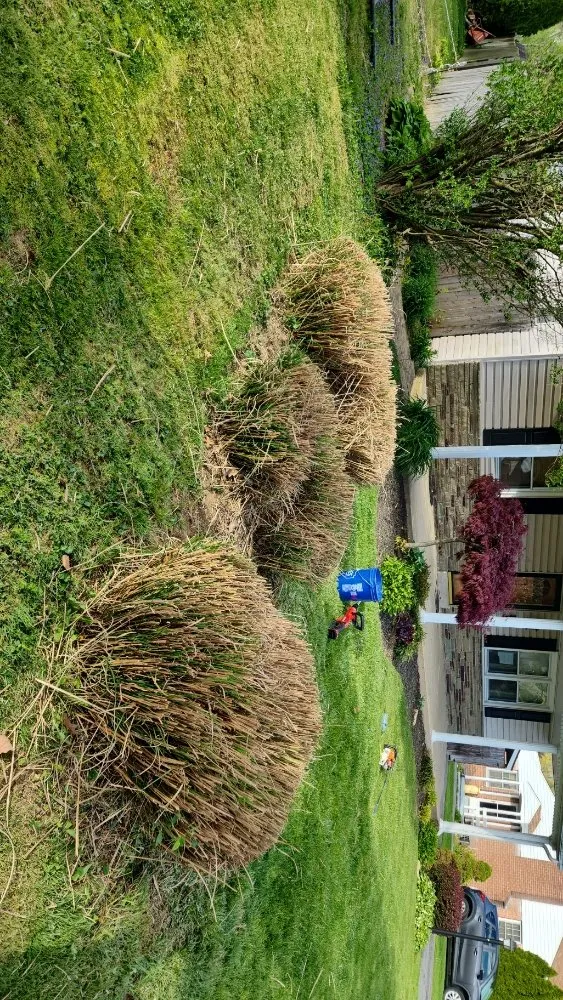 Top-rated landscape installation for beautiful yards across Lancaster, PA - TSJ Lawn Care & Landscape