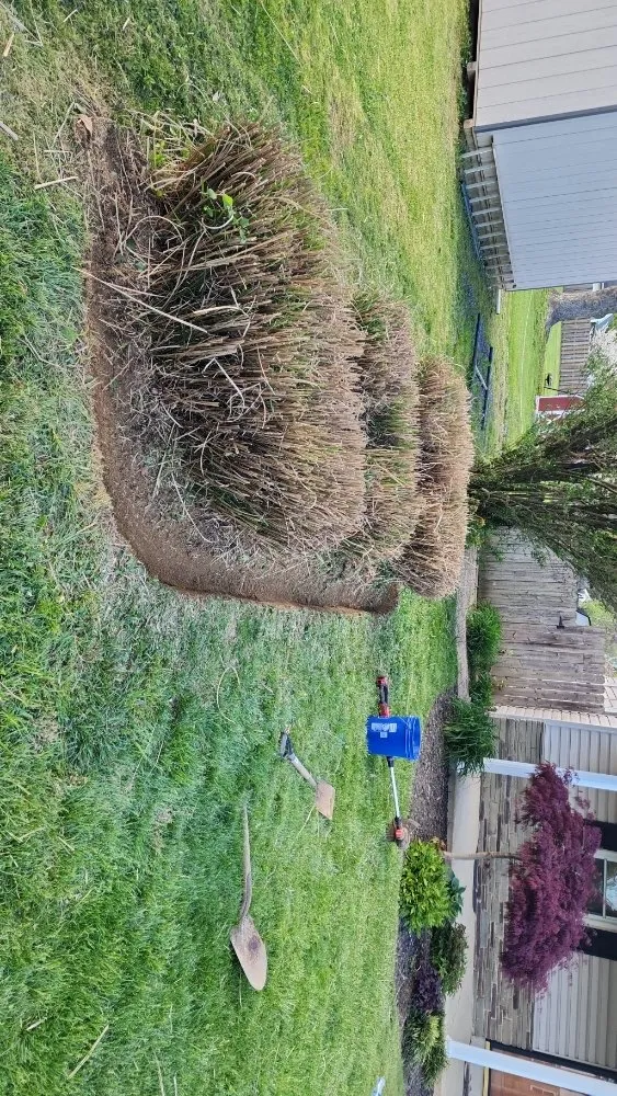 Top-rated yard maintenance for beautiful yards across Lancaster, PA - TSJ Lawn Care & Landscape