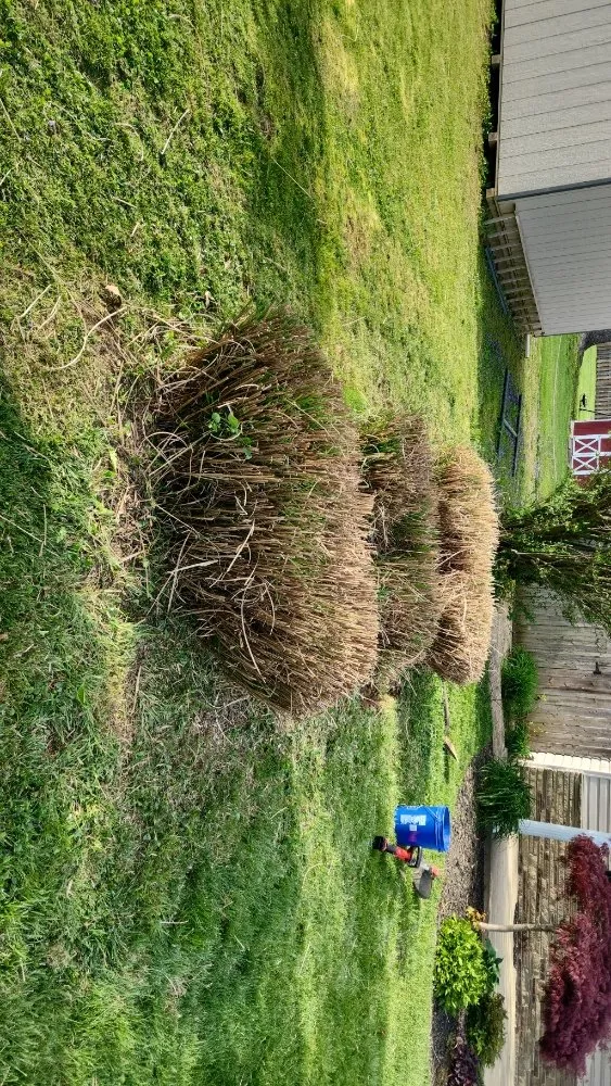 Trusted landscape installation experts serving Lancaster, PA - TSJ Lawn Care & Landscape