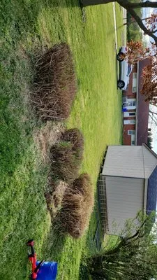 TSJ Lawn Care & Landscape Logo