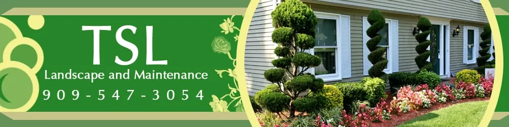 Top-rated yard cleanup service near you in Big Bear City, CA by TSL Landscape & Maintenance