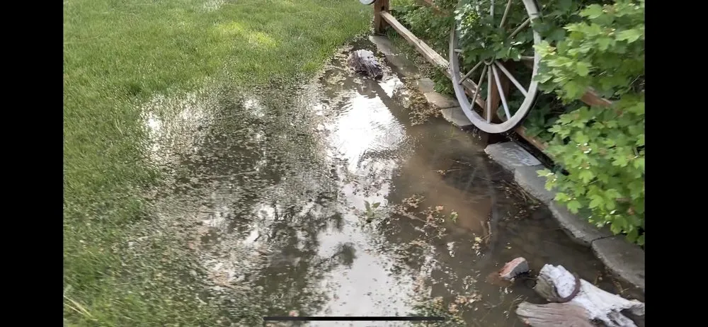 Local yard maintenance for homes across Big Bear City, CA - TSL Landscape & Maintenance