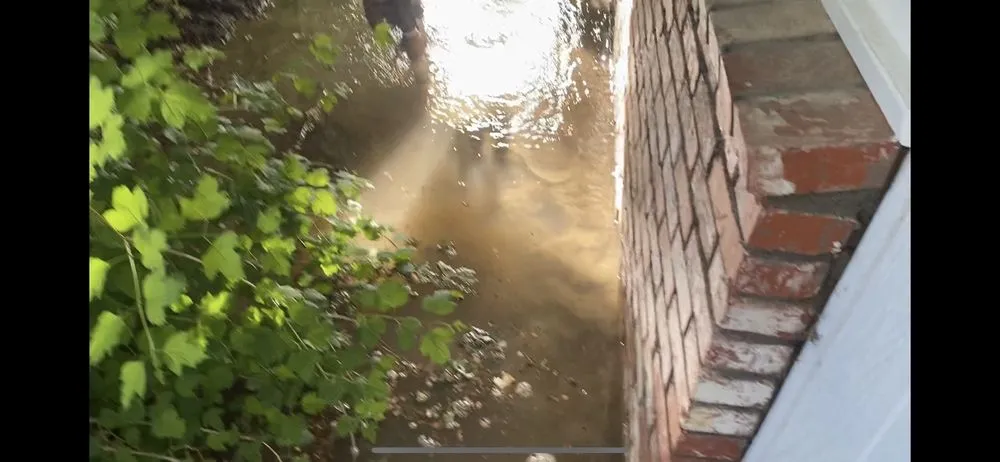 Trusted outdoor landscaping for year-round maintenance across Big Bear City, CA - TSL Landscape & Maintenance