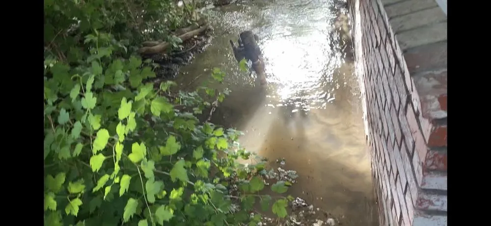 Professional landscape design for year-round maintenance across Big Bear City, CA - TSL Landscape & Maintenance