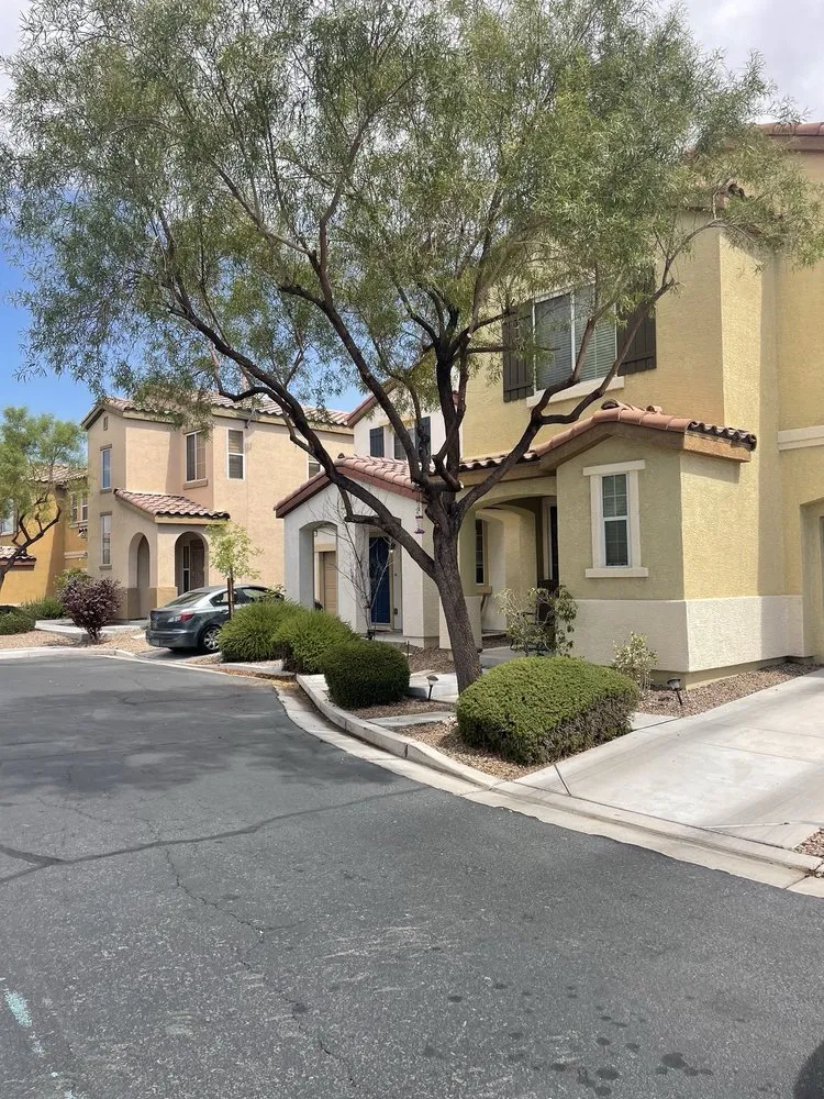 Trusted landscape installation experts serving Las Vegas, NV - T.S.L.