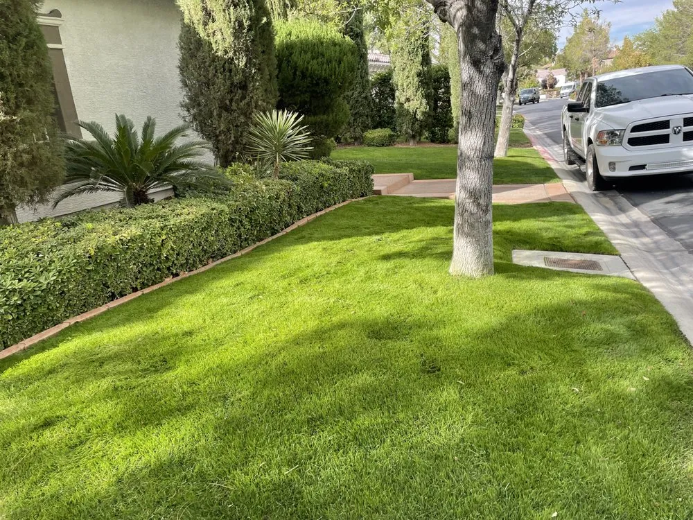 Trusted landscaping services experts serving Las Vegas, NV - T.S.L.