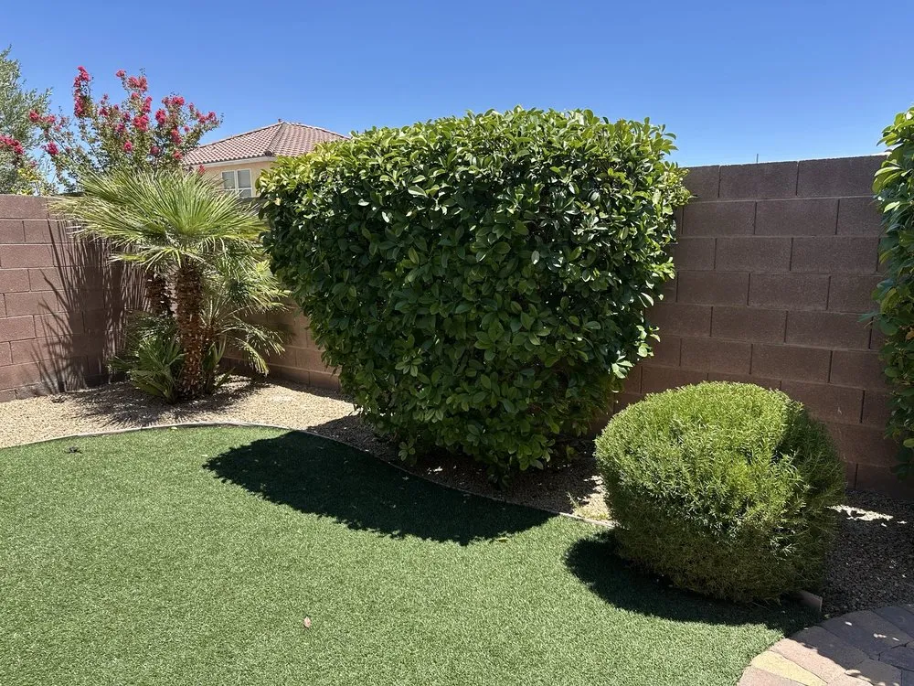 Custom landscaping services in Las Vegas, NV - T.S.L.