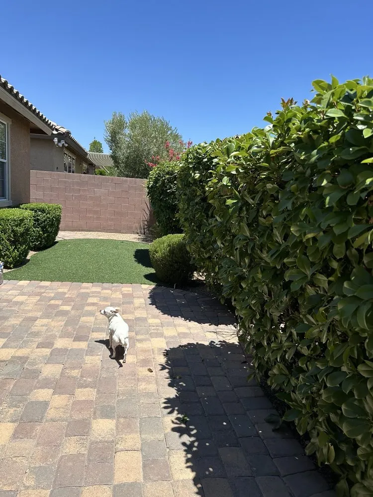 Local lawn mowing service experts serving Las Vegas, NV - T.S.L.