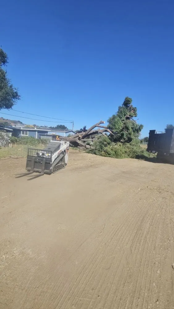 Local outdoor landscaping for residential properties across Santa Clarita, CA - TSL Tree Service & Landscaping