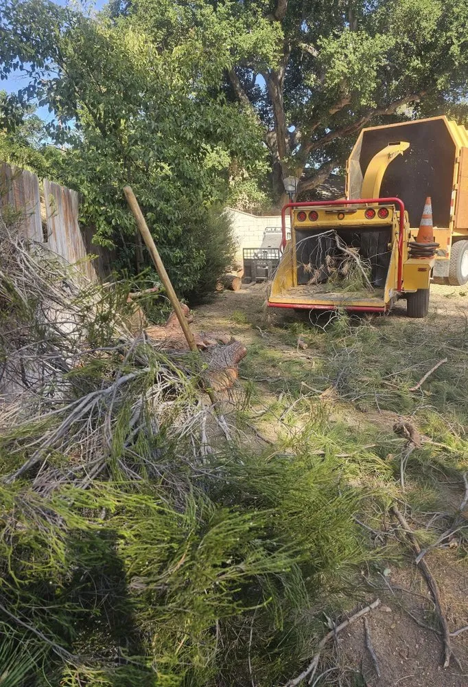 Custom lawn care service near you in Santa Clarita, CA by TSL Tree Service & Landscaping