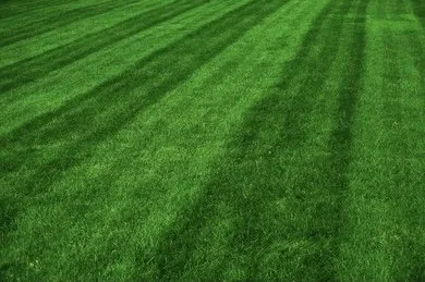 Trusted landscaping services in Cleveland, NY - TSM Property Management Maintenance