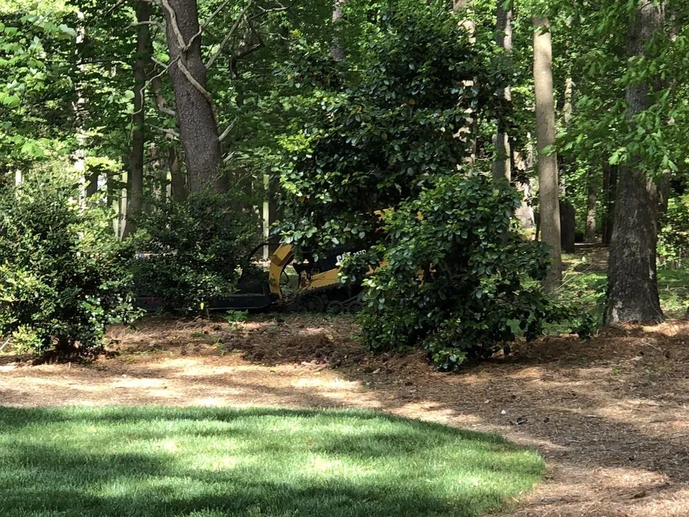Expert yard cleanup service in Yorktown, VA - Tsp Lawn & Landscapes
