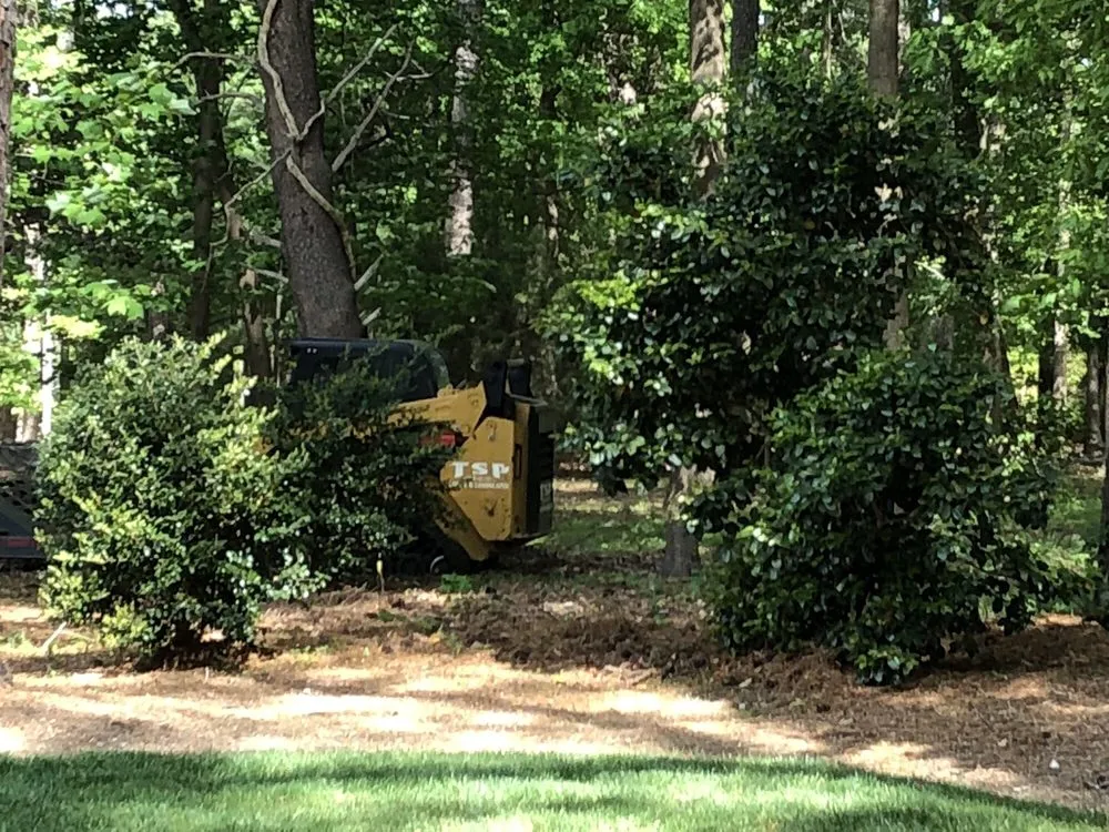 Custom residential landscaping experts serving Yorktown, VA - Tsp Lawn & Landscapes