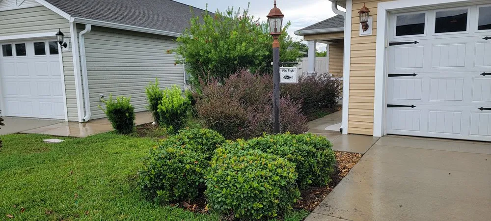Affordable landscape installation for year-round maintenance across Summerfield, FL - TSR Landscaping & Lawn Care