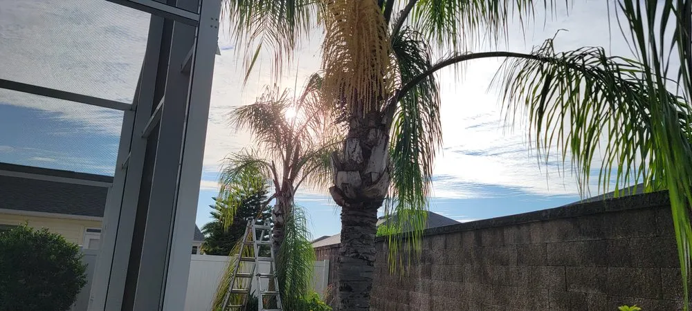 Reliable outdoor landscaping with custom design across Summerfield, FL - TSR Landscaping & Lawn Care