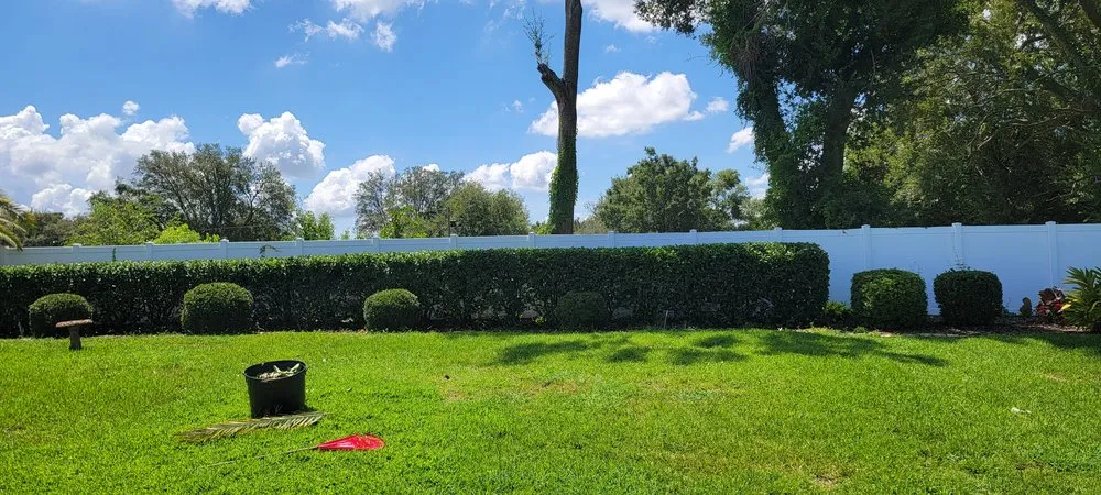 Local outdoor landscaping with custom design across Summerfield, FL - TSR Landscaping & Lawn Care