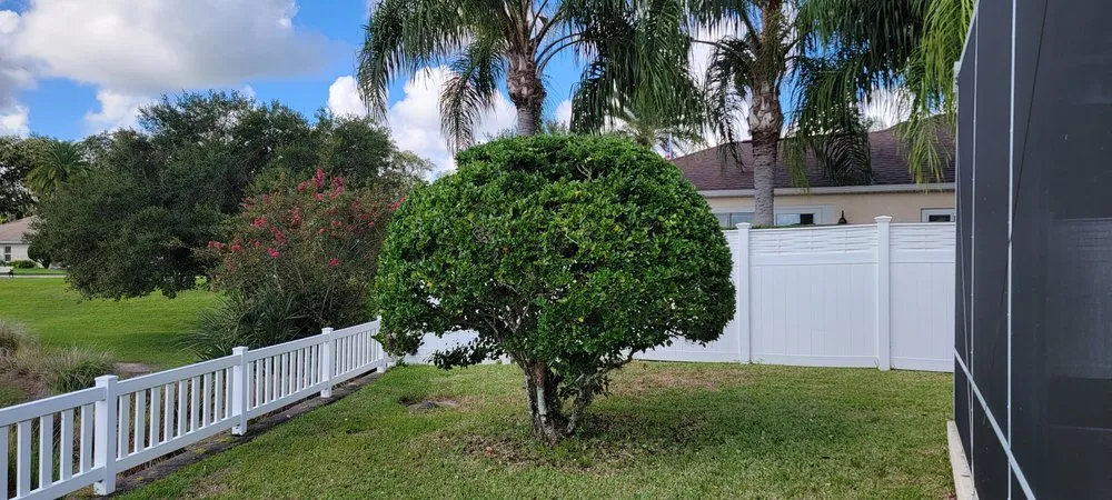 Professional outdoor landscaping experts serving Summerfield, FL - TSR Landscaping & Lawn Care