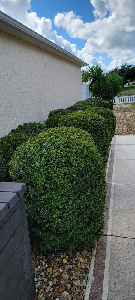 Expert outdoor landscaping in Summerfield, FL by TSR Landscaping & Lawn Care