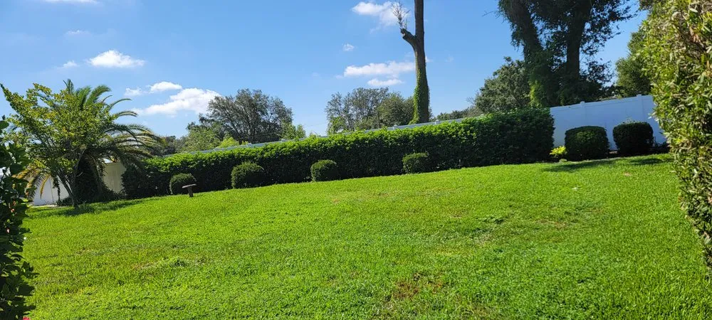 Local lawn mowing service for homes in Summerfield, FL by TSR Landscaping & Lawn Care