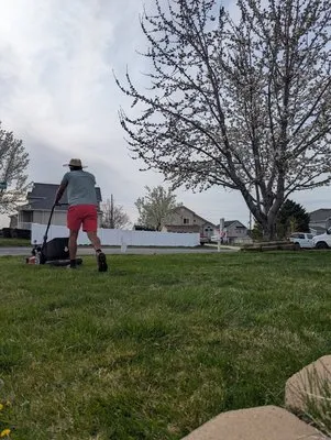 Tsuki Terra Landscaping