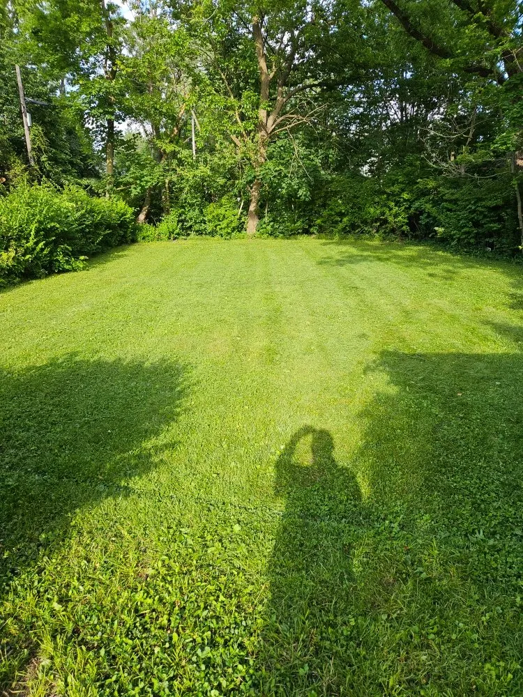 Affordable yard cleanup service experts serving Lima, OH - TSunz