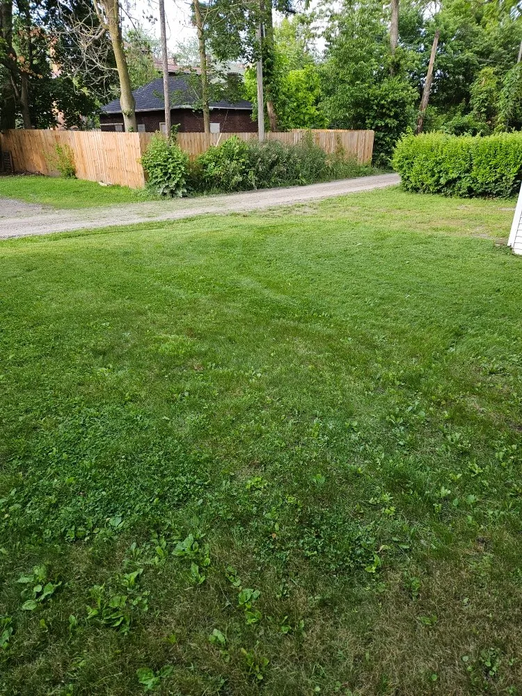 Professional landscape installation in Lima, OH - TSunz