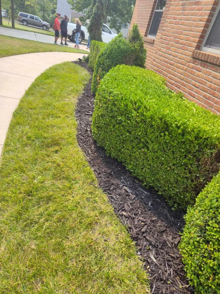 Reliable landscape design for residential properties in Lima, OH by TSunz