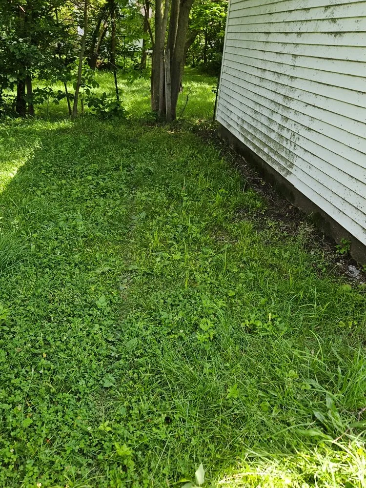 Custom landscape design for beautiful yards across Lima, OH - TSunz