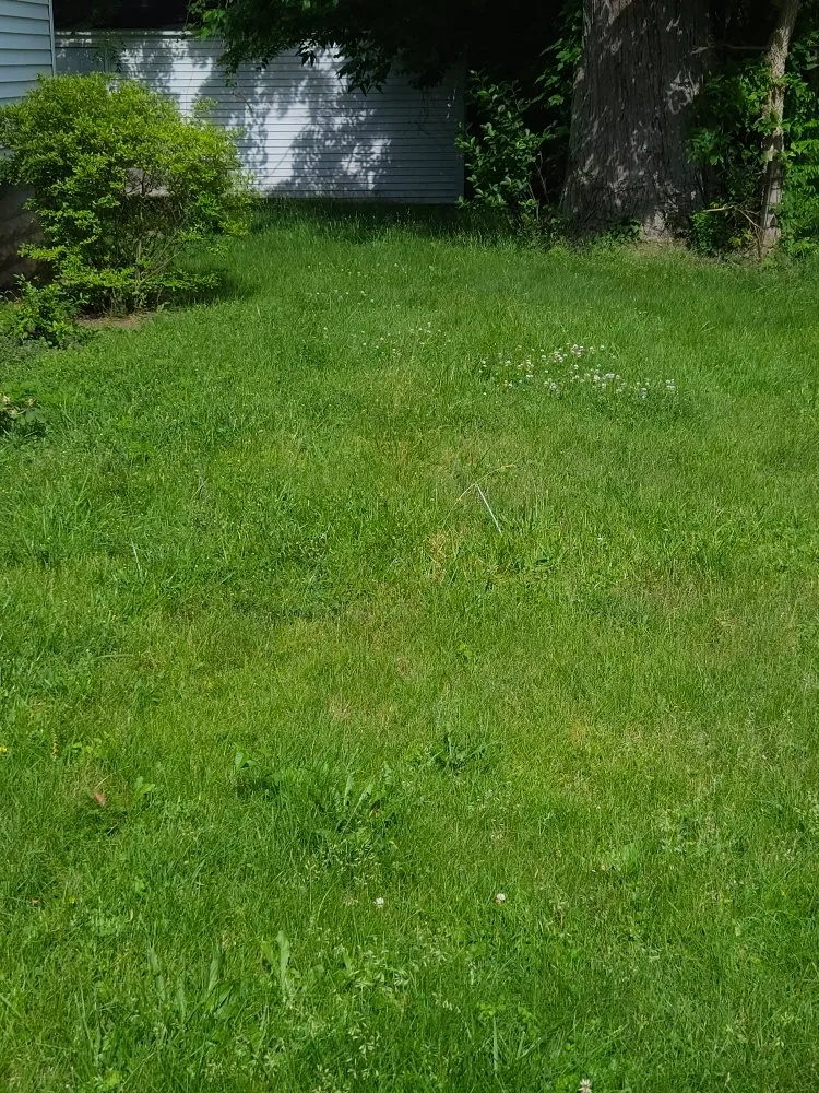 Reliable outdoor landscaping in Lima, OH - TSunz