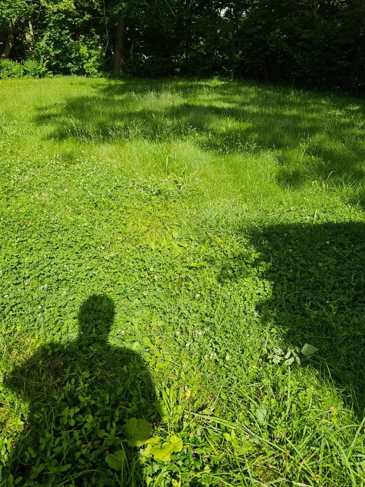 Trusted landscape installation for beautiful yards across Lima, OH - TSunz