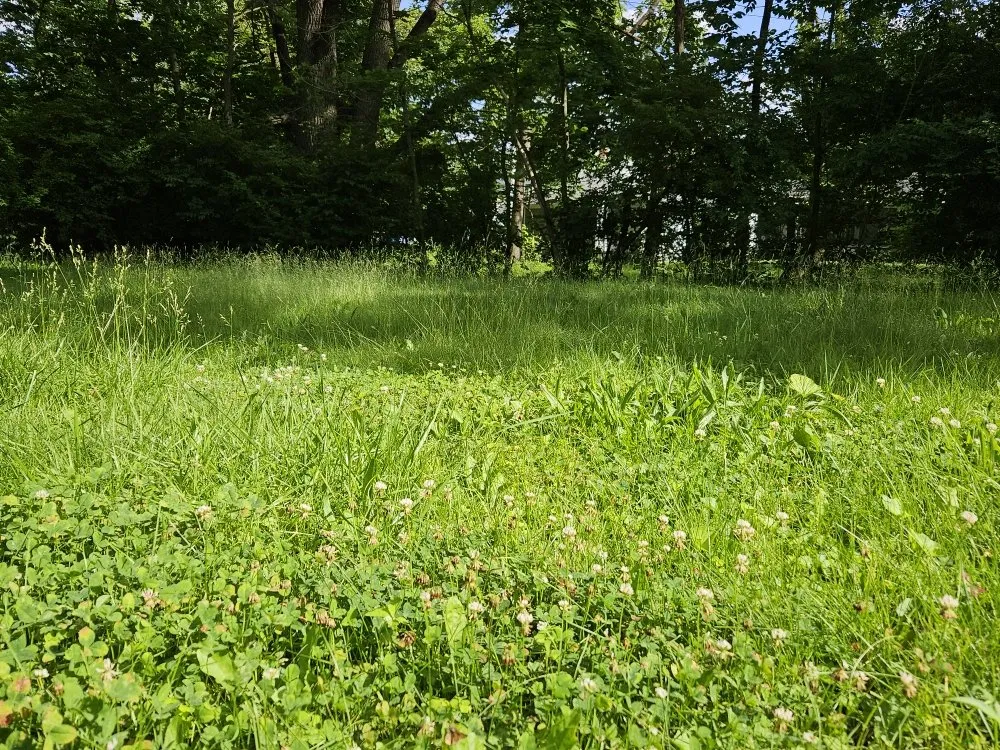 Expert garden landscaping experts serving Lima, OH - TSunz